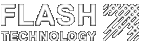 Flash Tecnology